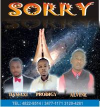Song Sorry
