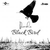 Song Black Bird