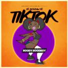 Song Fe Boudaw Fe TikTok